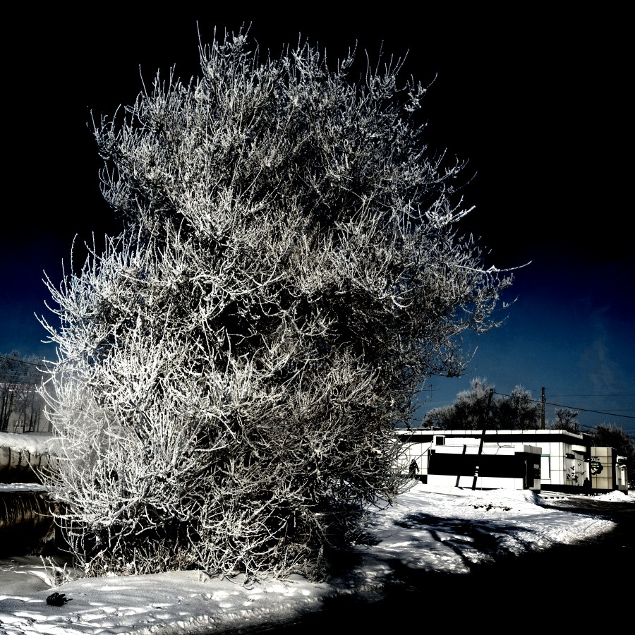 ночной свет