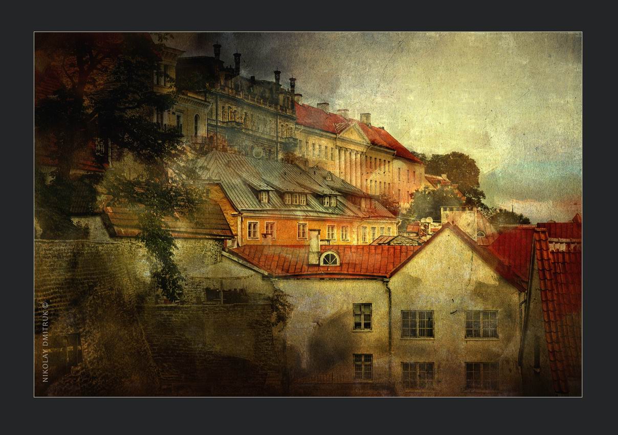 крыши. Таллинн. 2014