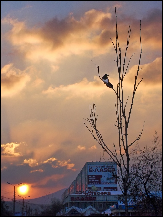Утро понедельника