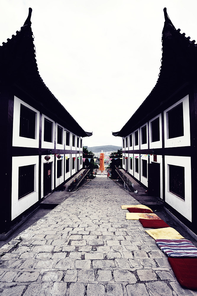 #25 из серии "Новый Китай"