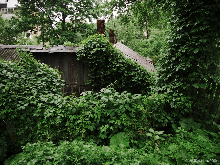 Из серии "Закоулки Владивостока"