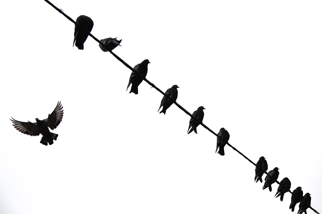 Один и все остальные