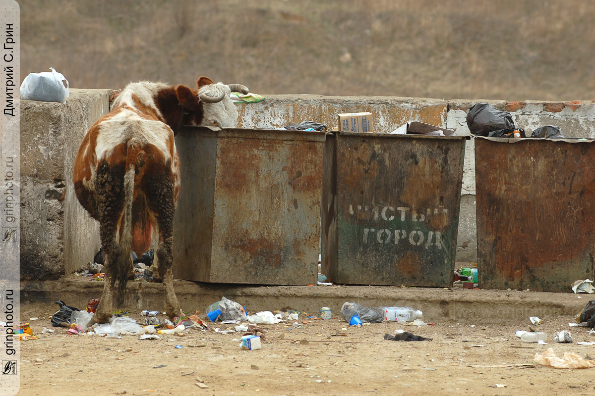 "ЧистОй город"