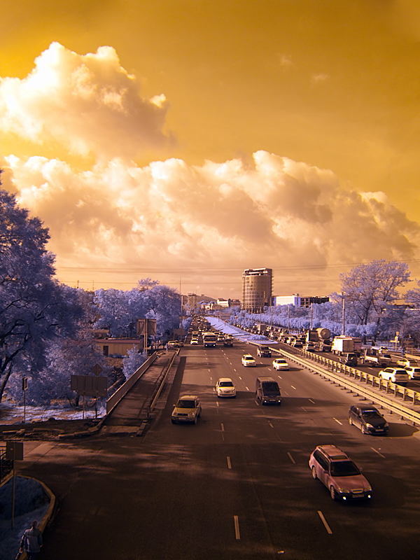 Куда приводят мечты