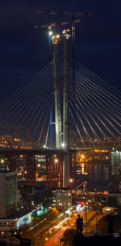 Ночной смотрящий