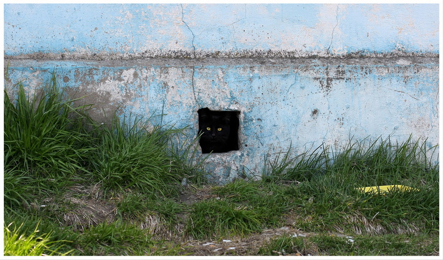 А пока наоборот.....