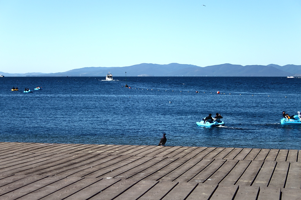 Триколор по-Владивостокски