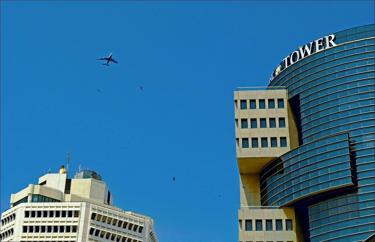 В небе только те, кто с крыльями