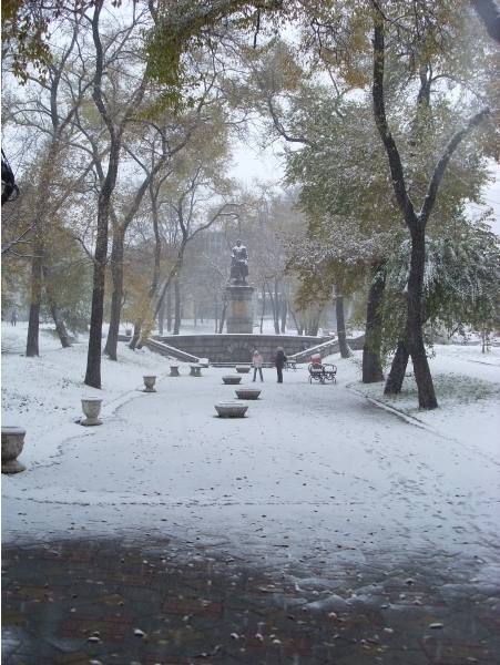 скоро "представление"