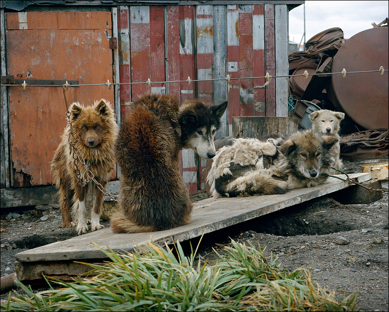 Еще не зима