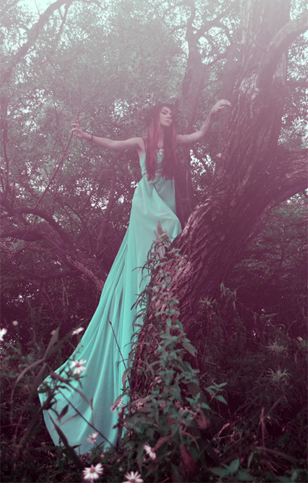 Нимфа туманного леса