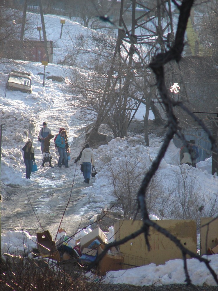 Через тернии к звездам