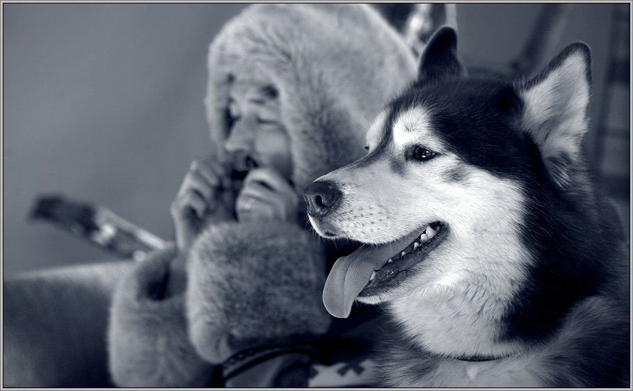 На дальнем севере.