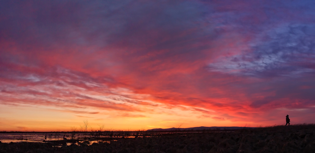 унося в новый день груз вчерашних забот