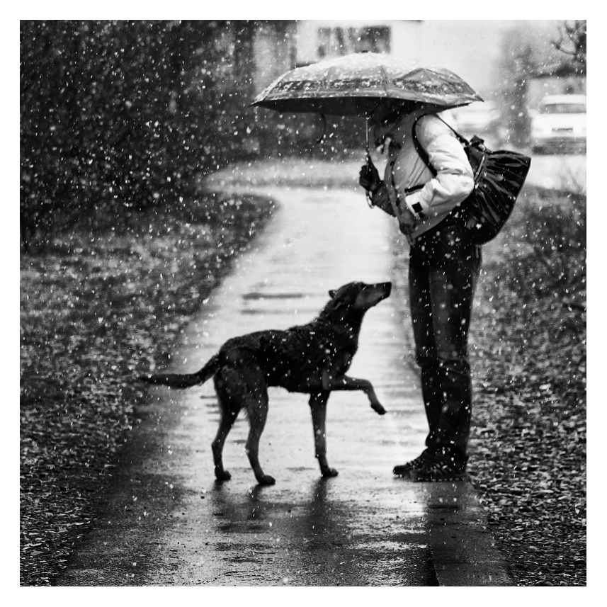 ЯЗЫК ЖЕСТОВ