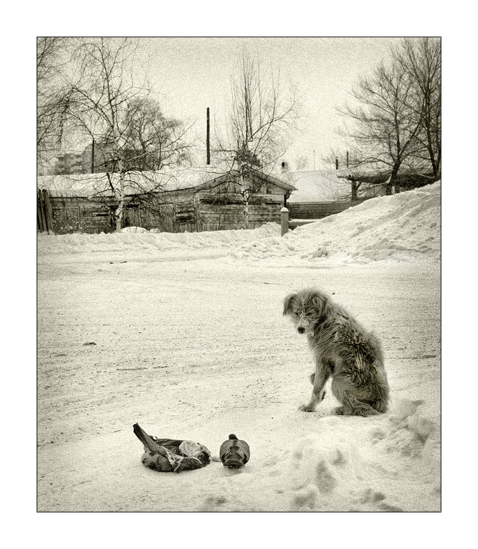 Поделись со мной...