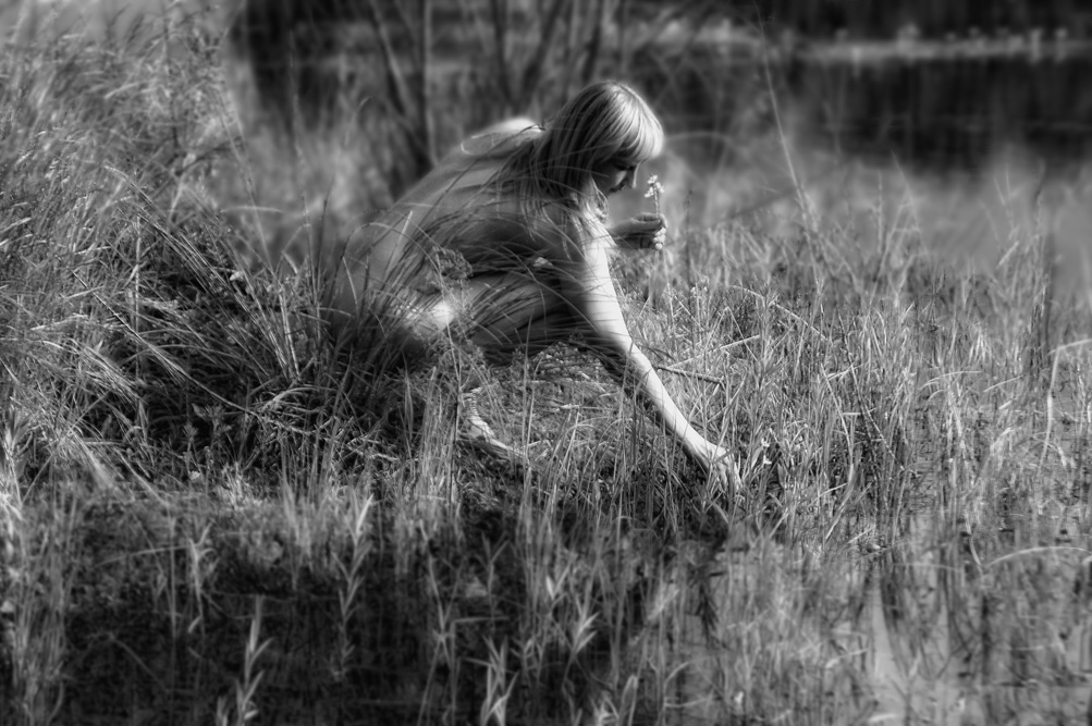 за кубышками