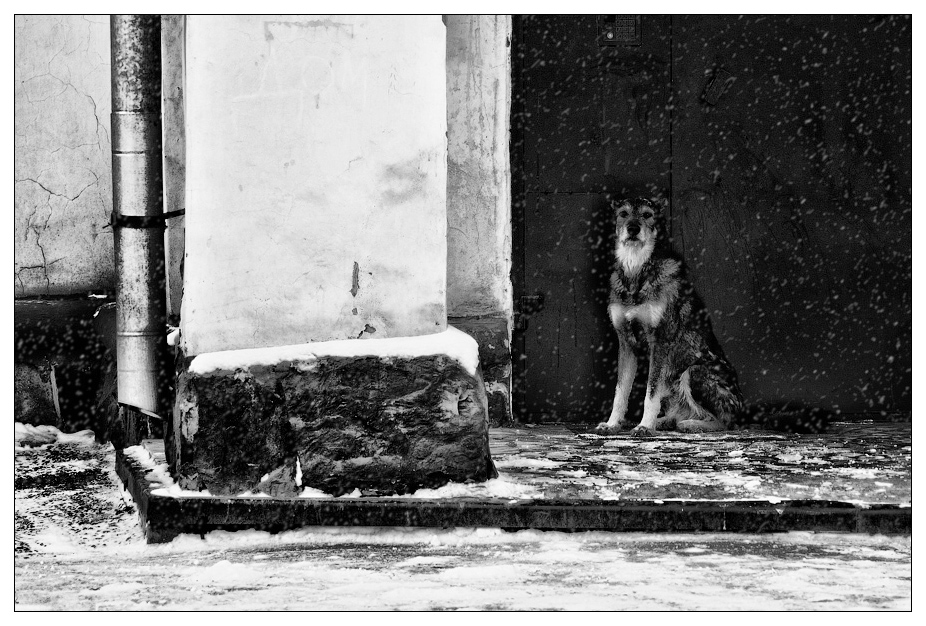 ДОМ ТАМ, ГДЕ ЖДУТ...