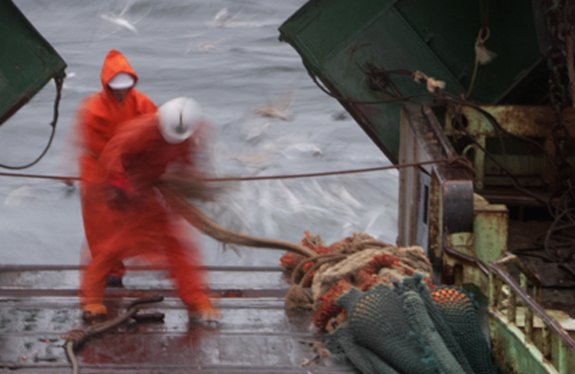 Люди в оранжевом.