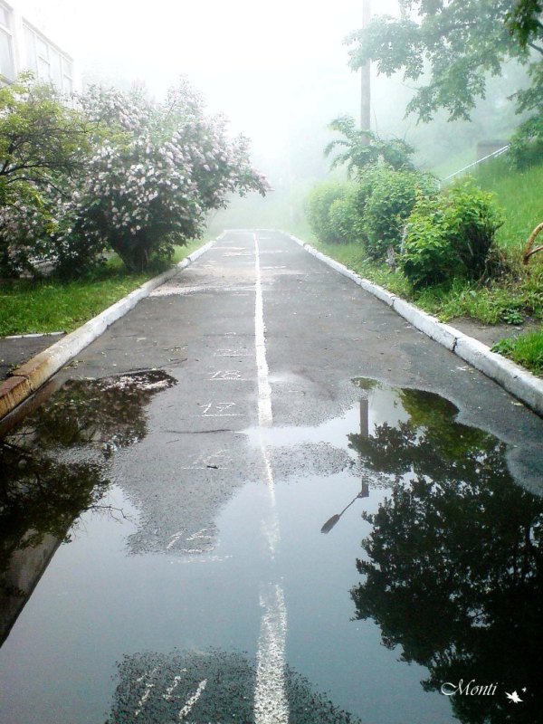 Отражения раннего утра