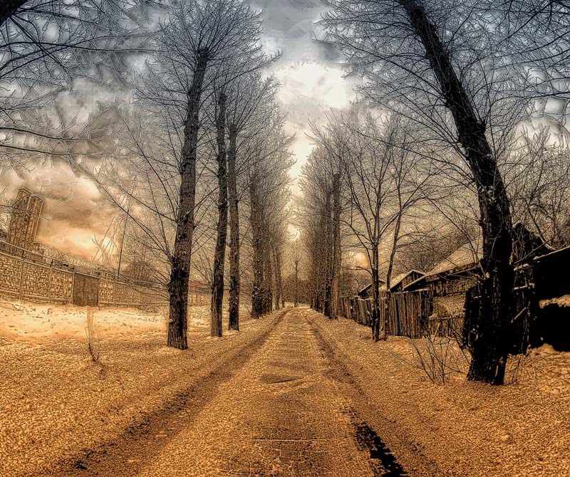 Жили-были ТОПОЛЯ...