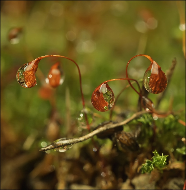 Её величество...
