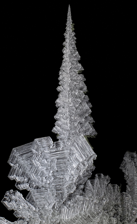 Ёлочка,ли...