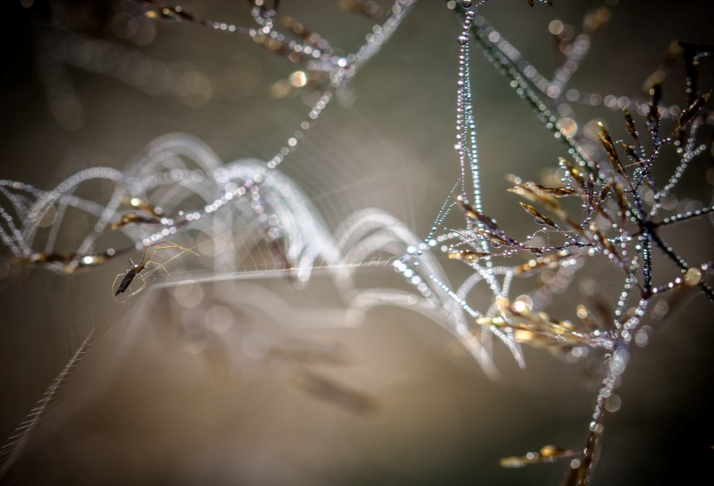 Поход за самоцветами...