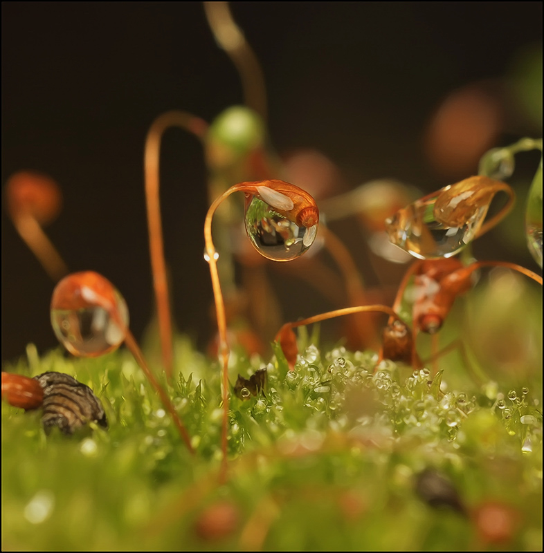 Неоконченная песня...