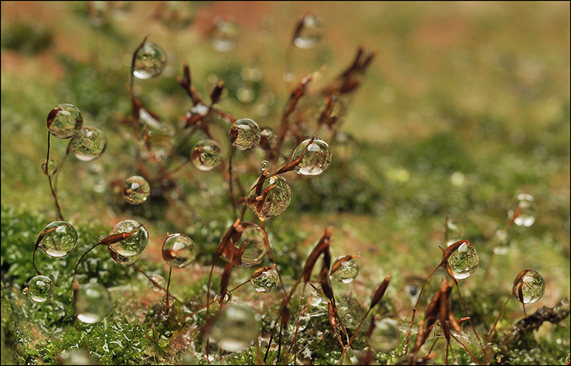 Тихие посиделки...