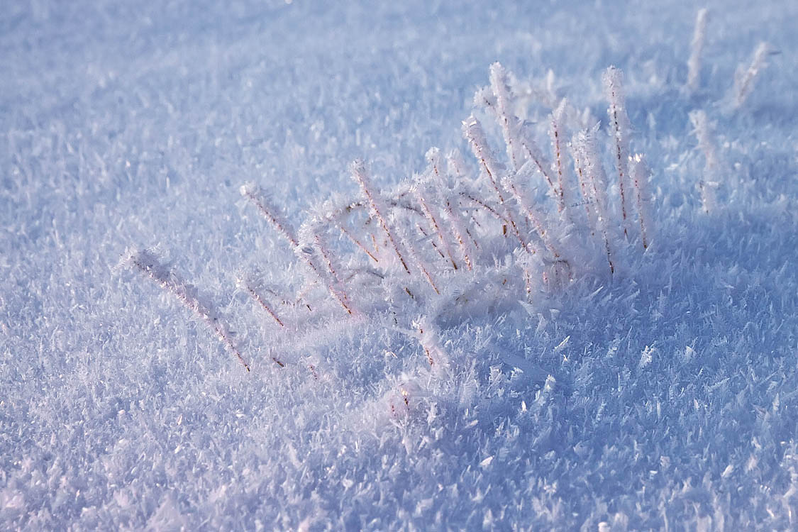 хрупкий мир