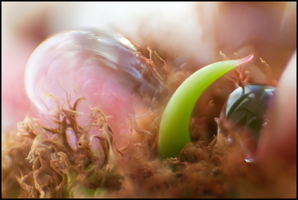 МакроСказка