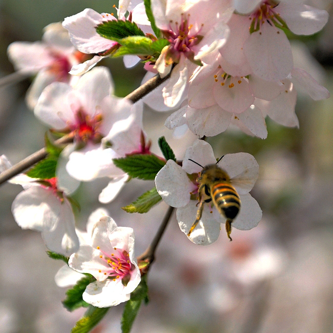 на подлете (мое первое почти извращенское макро)