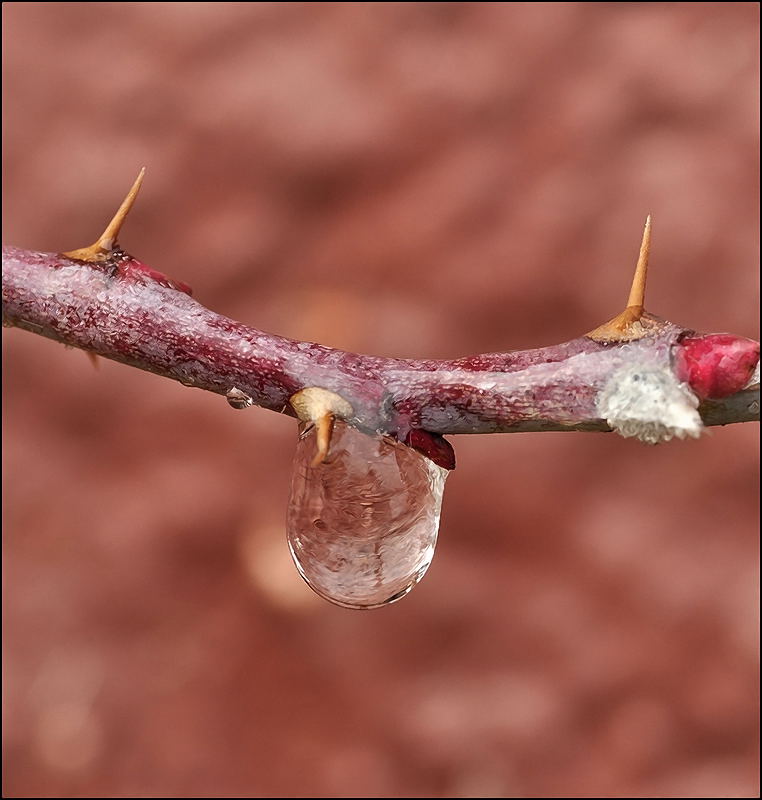 Чистая отдушина...