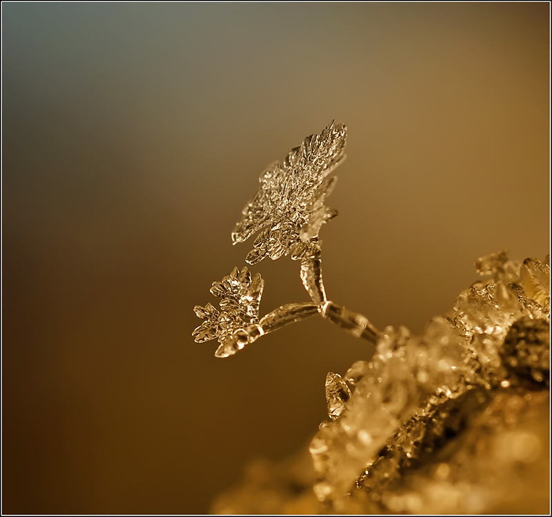 Так вот ты, какой...