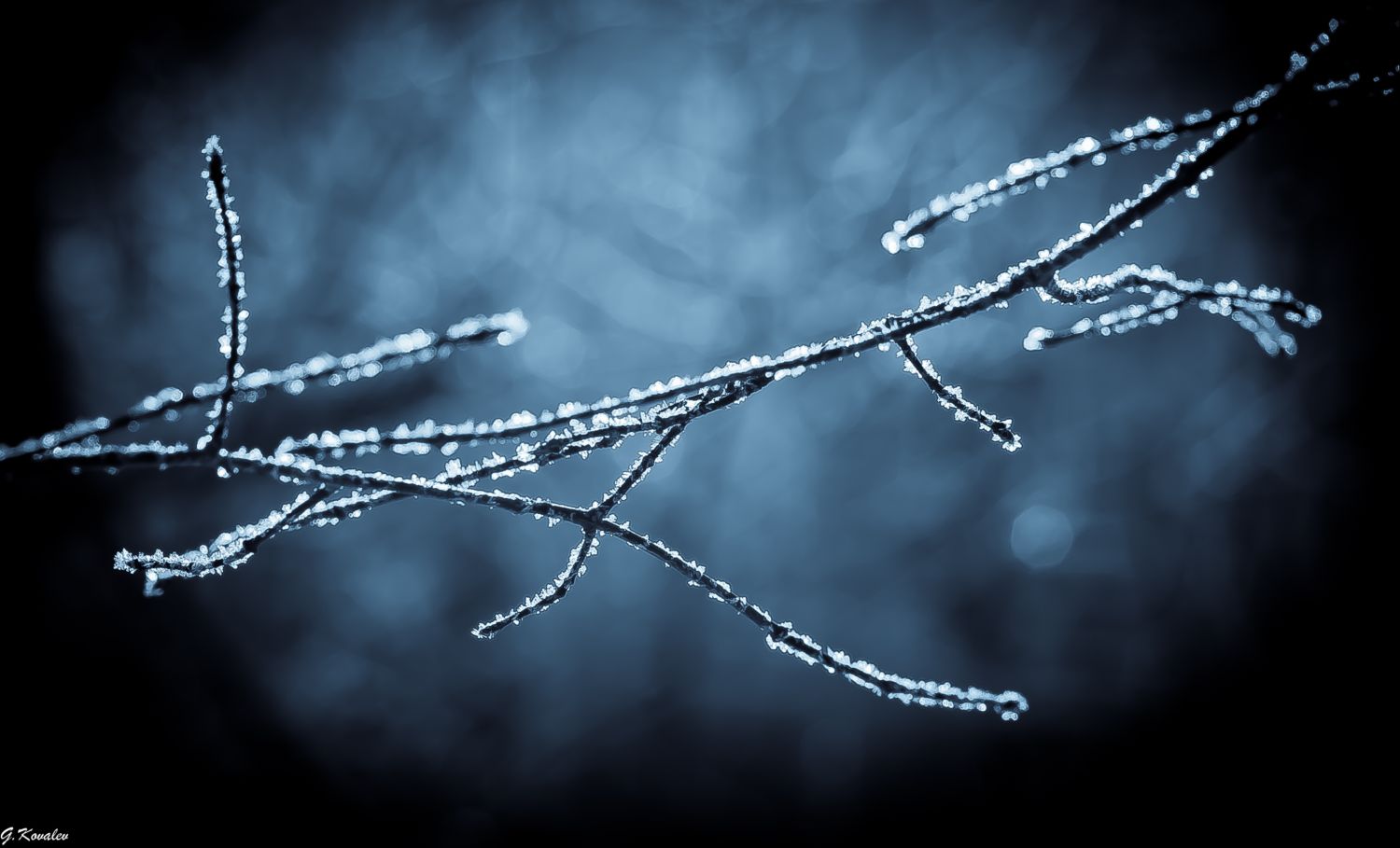 Переплетение судеб...