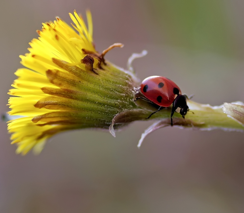 Очень тепло..