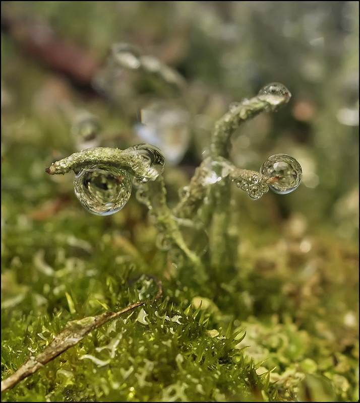 Три элемента...