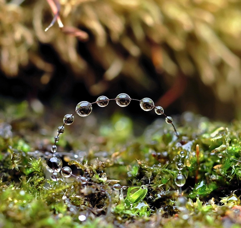 На прочность..