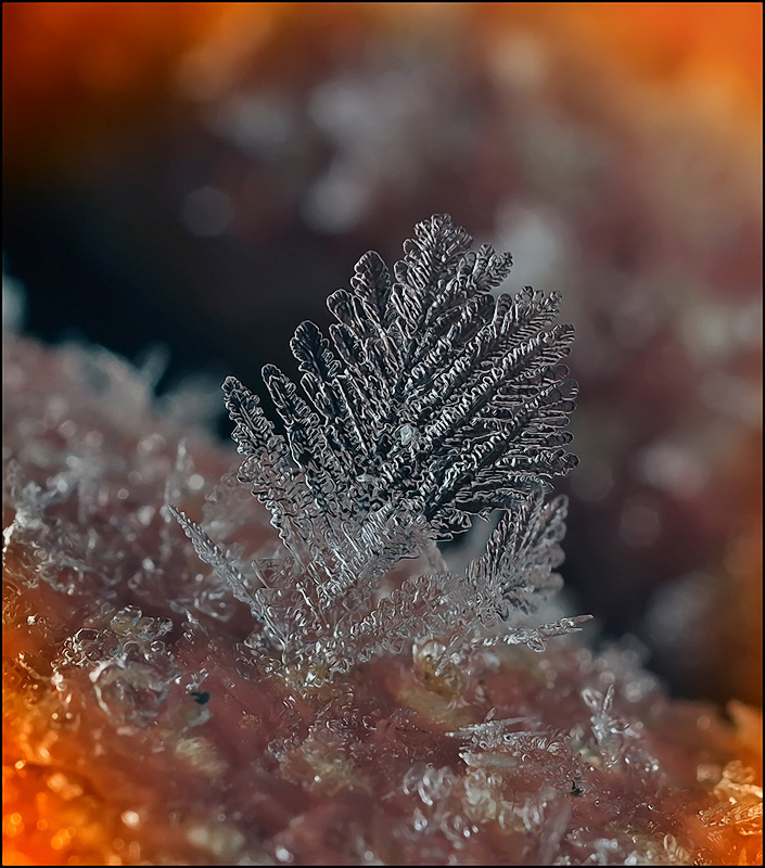 Костяное помело...