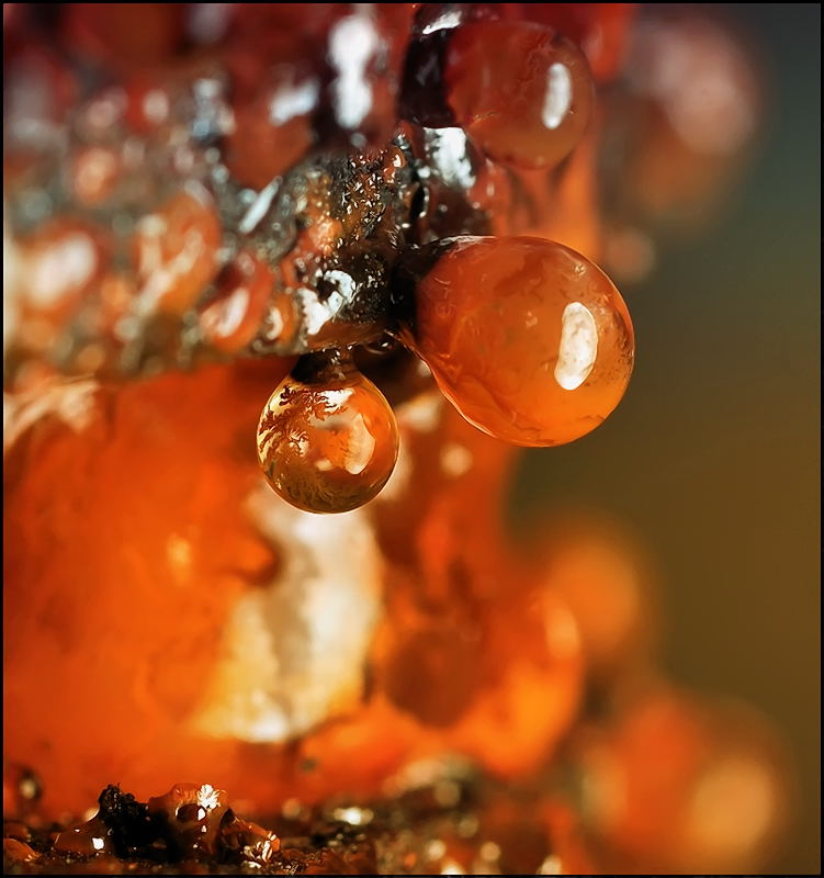 Непокорная магия...