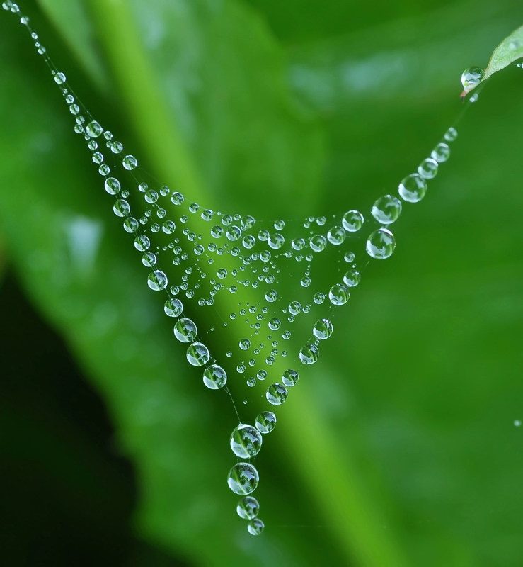 Круглый треугольник..