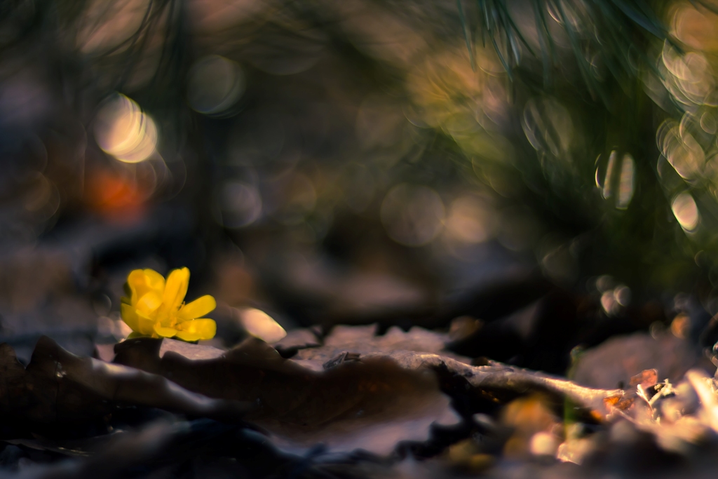 Апрельский калейдоскоп...