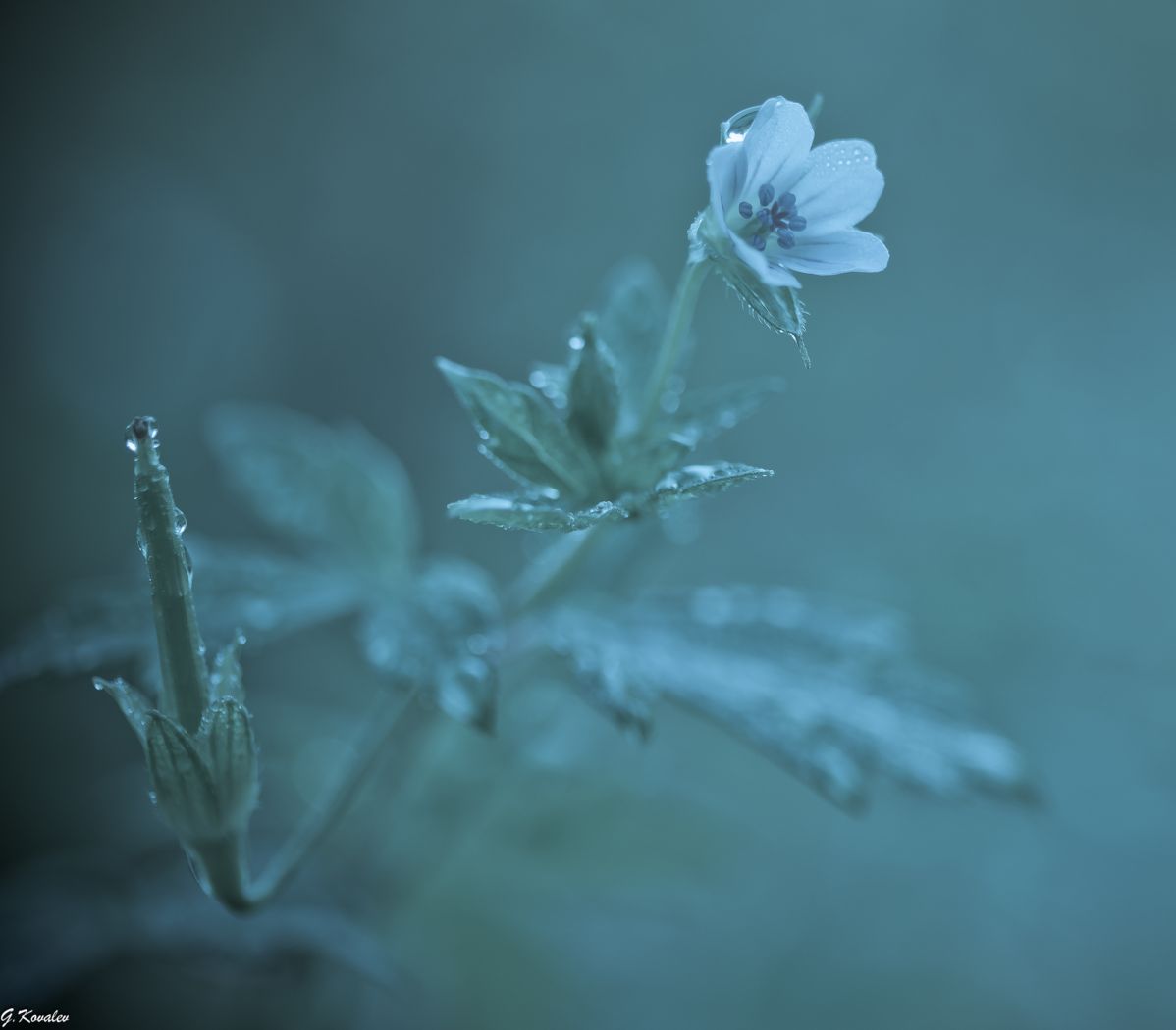 Утреннее пробуждение...