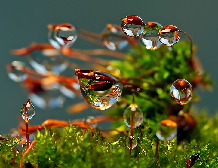 Старое водяное фото..