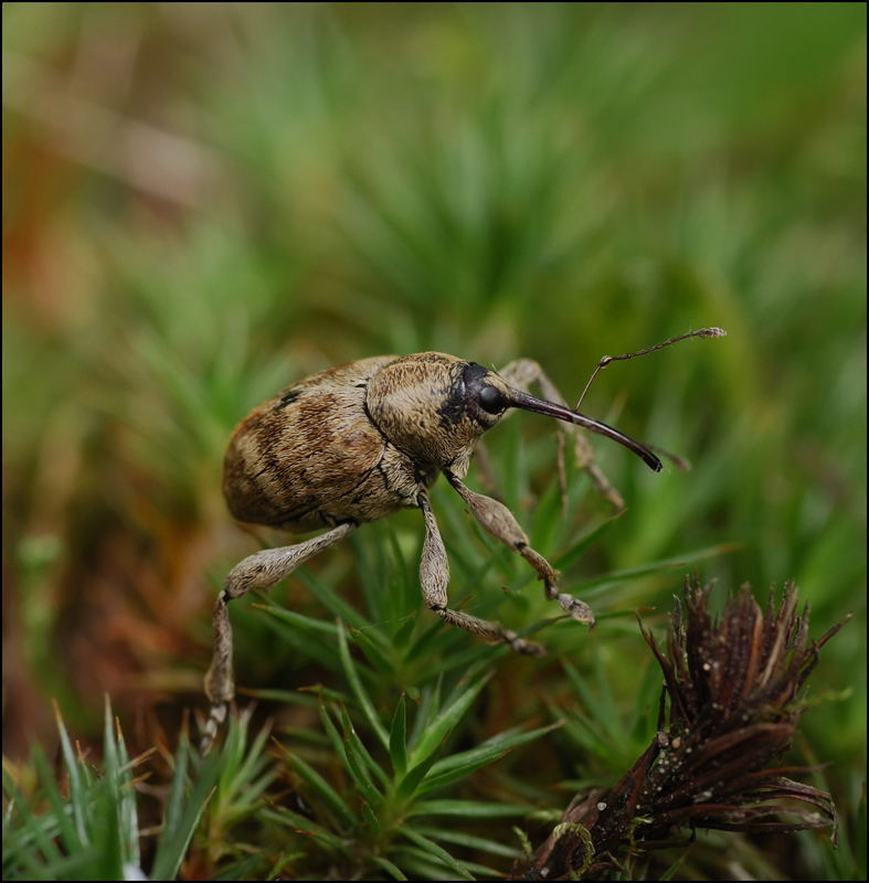 Невесомость-друг...