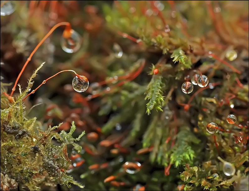 Широта океанов...