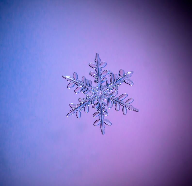 Хрупкость зимы...