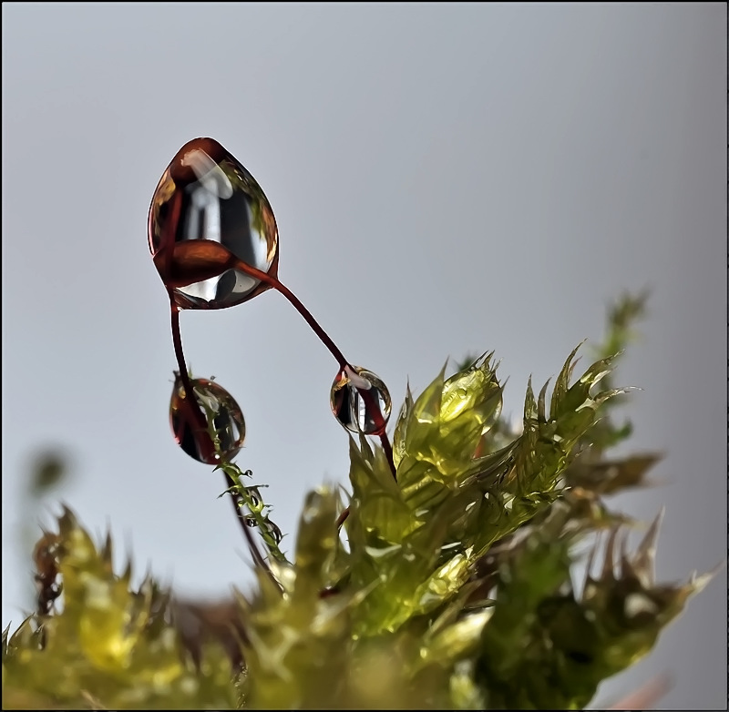 Штамповка...