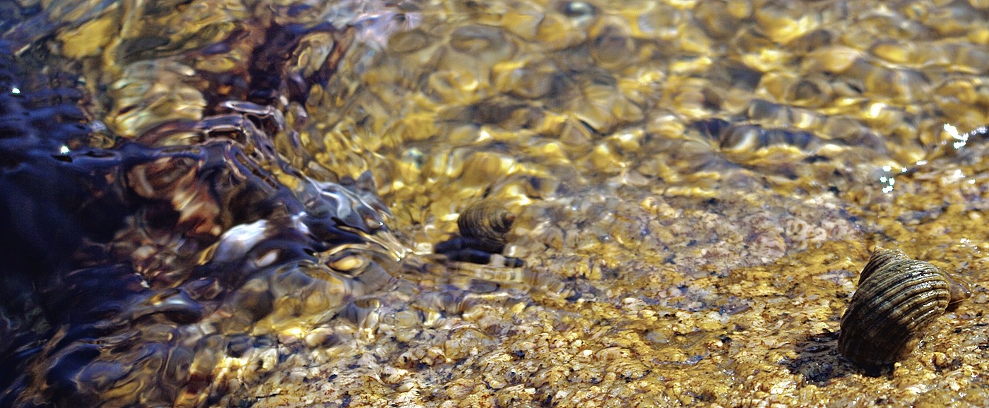 Улитка на склоне